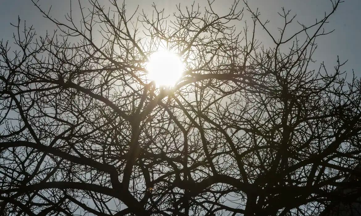 El Niño: agro da Região Centro-Oeste deve antecipar medidas para reduzir efeitos da seca